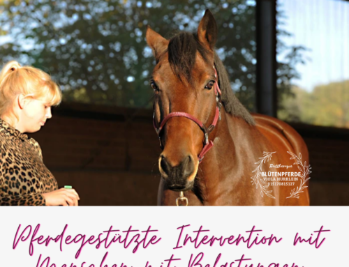 Pferdegestützte Intervention mit Menschen mit Belastungen /-störung